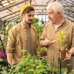 10 plantes faciles à cultiver pour un jardin sans entretien