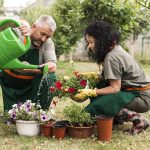 jardin écologique