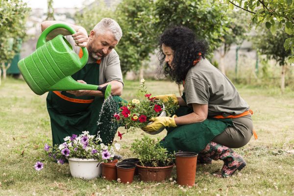 Idées et inspirations écologiques pour aménager son jardin naturellement jardin écologique