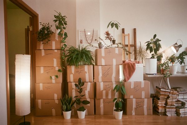 A room filled with lots of boxes and plants